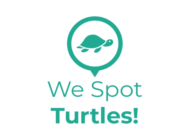 We Spot Turtles!